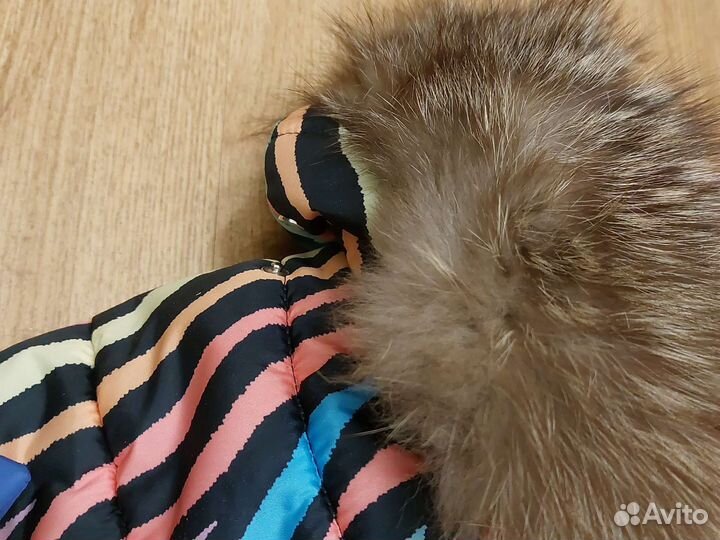 Йокширский терьер