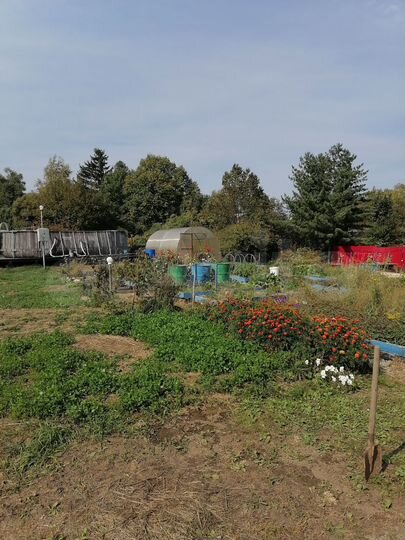 Дом 54 м² на участке 10,7 сот.