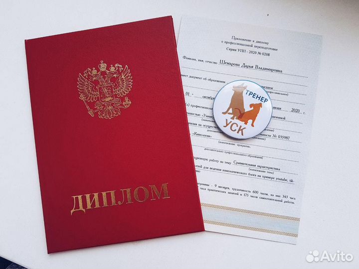 Кинолог/Дрессировка и воспитание собак