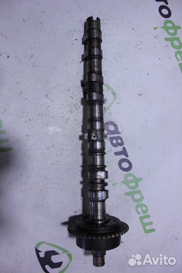 Распредвал впускной C 203