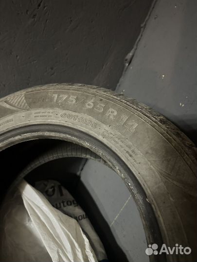 Nokian Tyres Nordman SX 175/65 R14