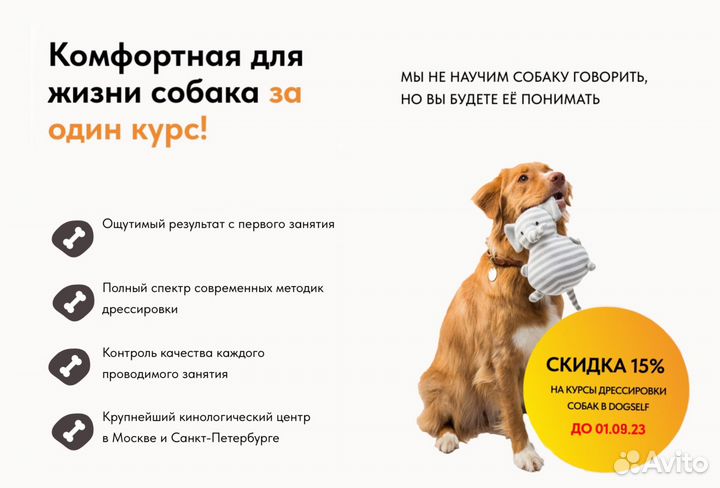 Кинолог с выездом / Дрессировка собак