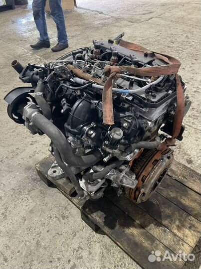 Двигатель на Ford Transit 2.2 155л.с Форд Транзит