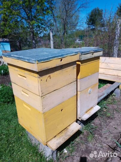 Улей для пчел
