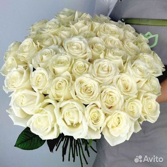 Розы Высокие 150см 160см 170см 180см 190см 2м