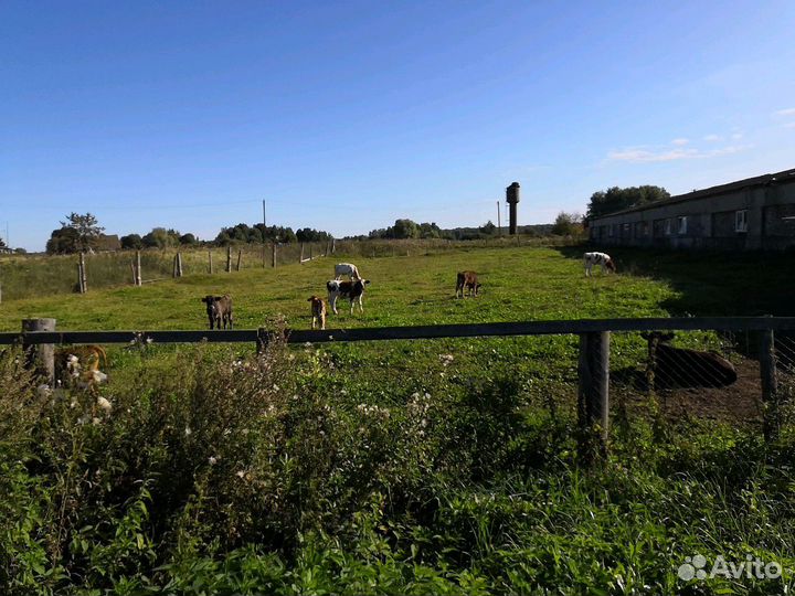 Фермерское хозяйство с техникой