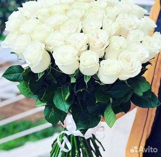 Высокие розы Гигантские розы Доставка цветов