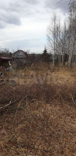 Участок 10 сот. (СНТ, ДНП)