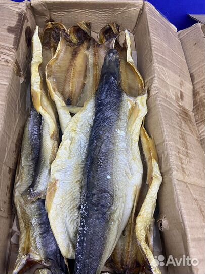 Рыба из Сибири и Дальнего востока