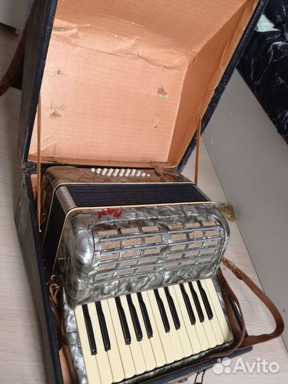 Аккордеон