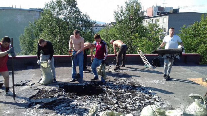 Землекопы/ разнорабочие