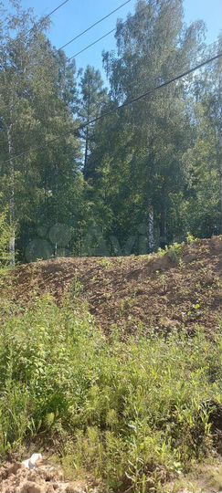 Участок 10 сот. (ИЖС)