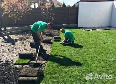 Рулонный газон