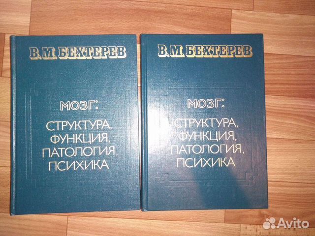 Бехтерев мозг. Архипалеокортекс. Архипалеокортекс функции. Функции мозга Бехтерев. Бехтерев в.м. - мозг: структура, функция, патология, психика..