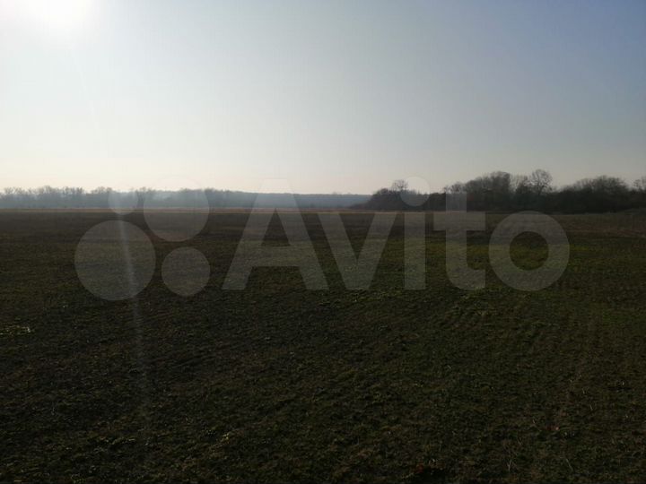 Участок 75 га (СНТ, ДНП)