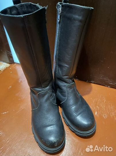 Сароги Котофей 35