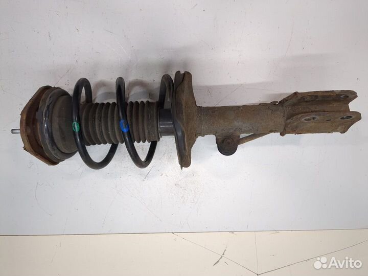 Амортизатор подвески Ford Focus 2, 2009