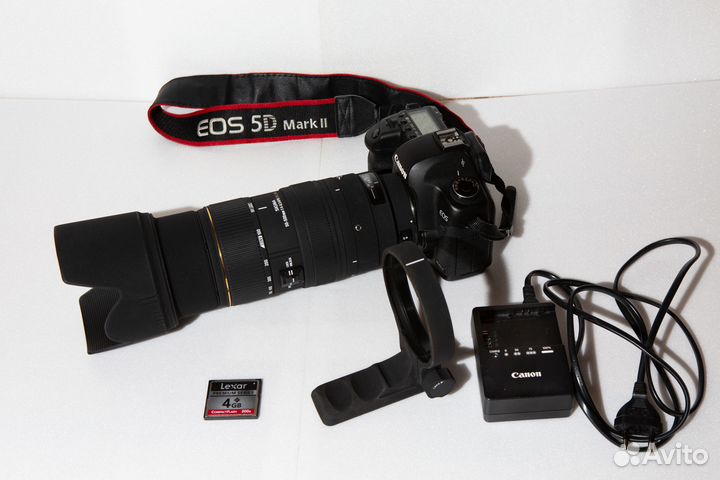 Canon 5d mark ii с супер-телеобъективом 500mm