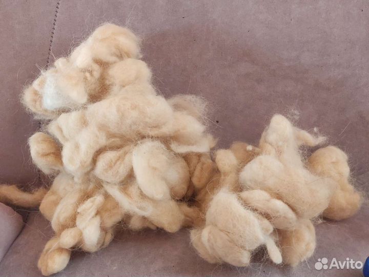 Собачья шерсть