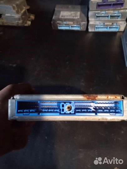 Эбу Ниссан максима 3.0 МКПП