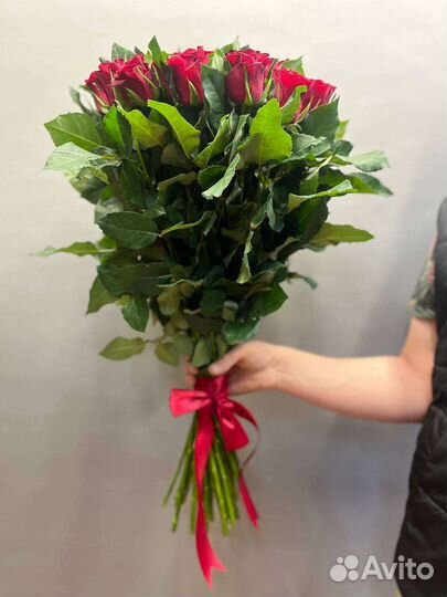 Свежая Голландская роза от склада