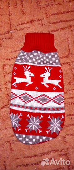 Одежда для собак