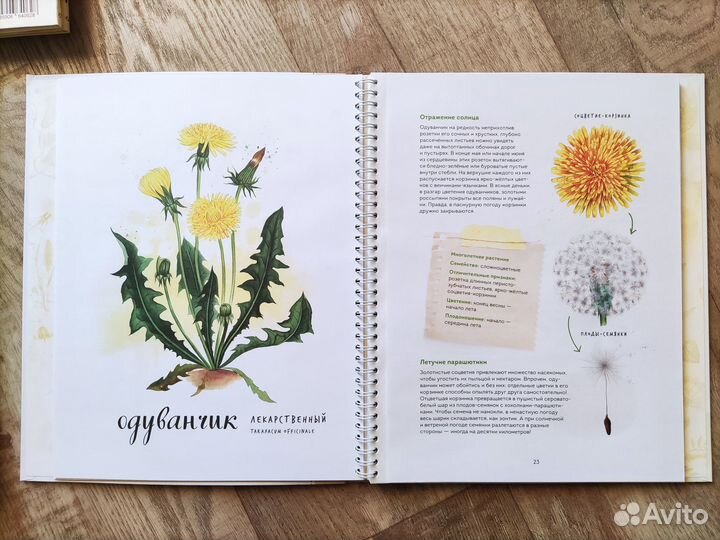 Новые детские книги