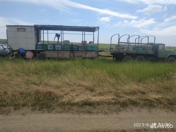 Продается пасека