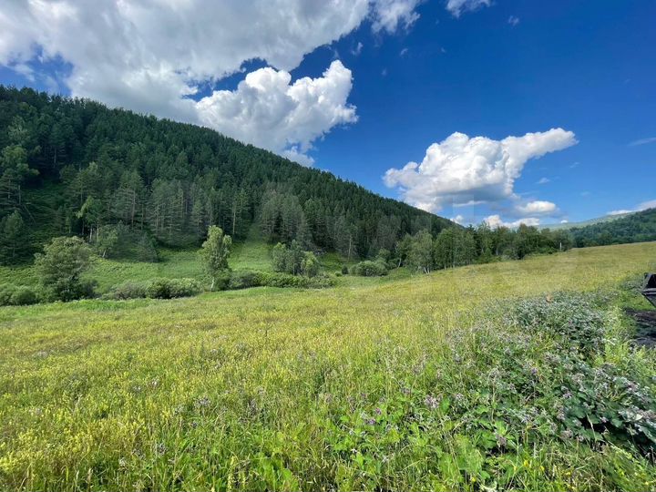 Участок 10 га (СНТ, ДНП)