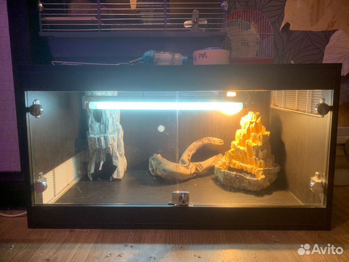 Террариум для рептилий