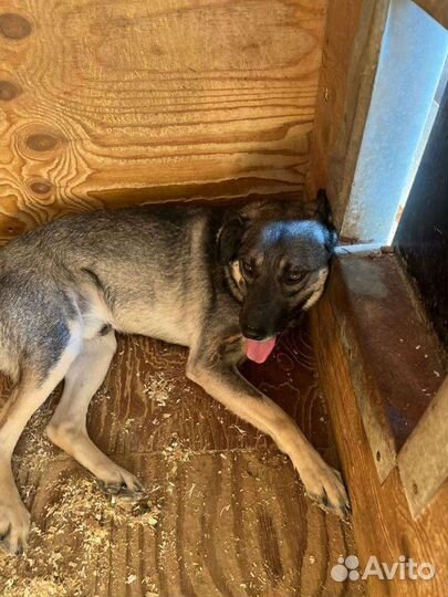 Я вырос в приюте