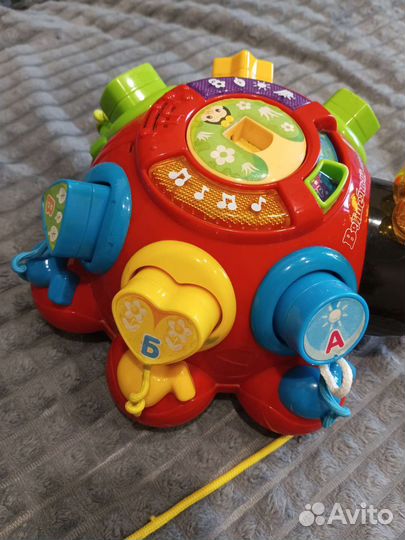 Божья коровка сортер