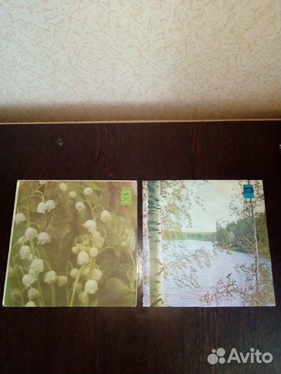 Виниловые пластинки.СССР