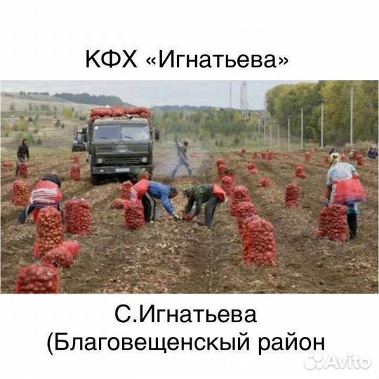 Разнорабочий с ежедневной оплатой от 2000