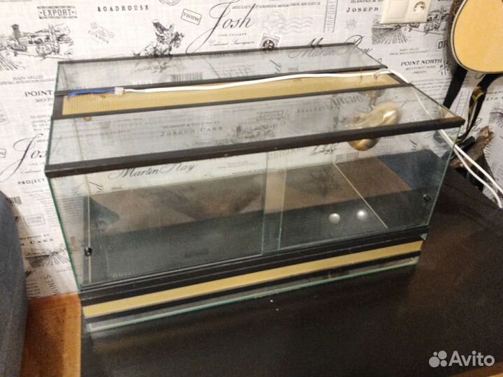 Террариум для бородатой агамы