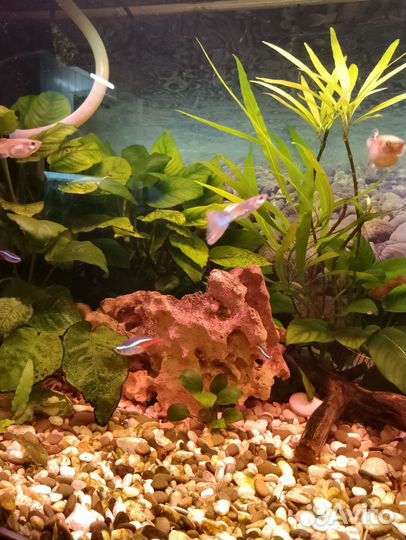 Фильтр для воды