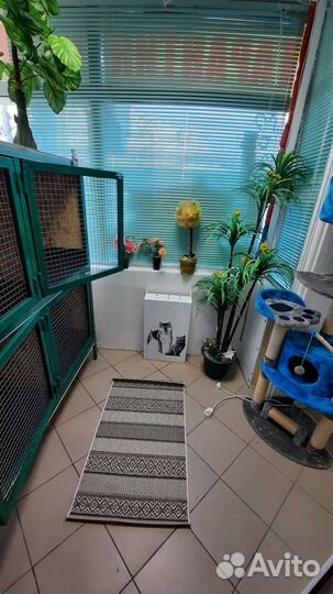 Передержка домашних животных