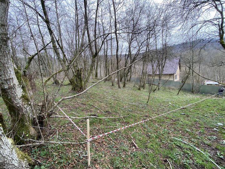 Участок 10,5 сот. (СНТ, ДНП)