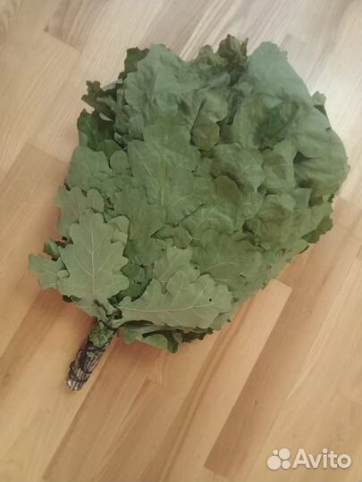 Дубовые Пихтовые Эвкалиптовые веники для бани