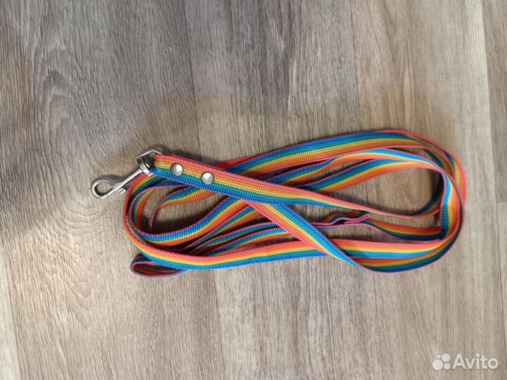 Амуниция для собак