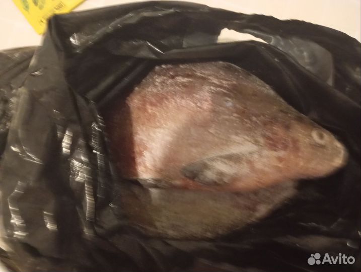 Свежемороженная рыба