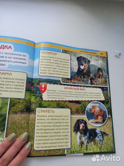 Энциклопедия про собак