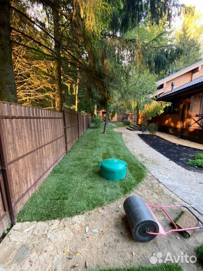 Продажа рулонного газона