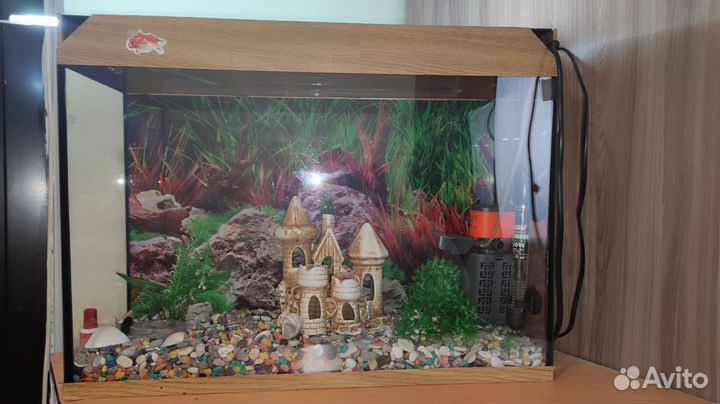 Аквариум