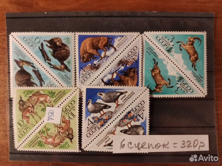 Бобр, зубр, тур, олень, улар