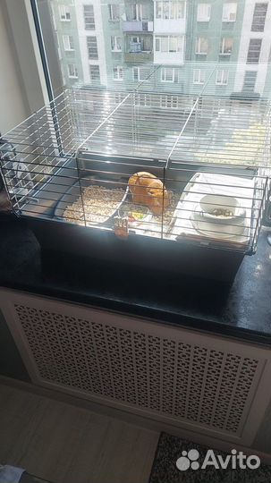 Клетка для морской свинки/кролика