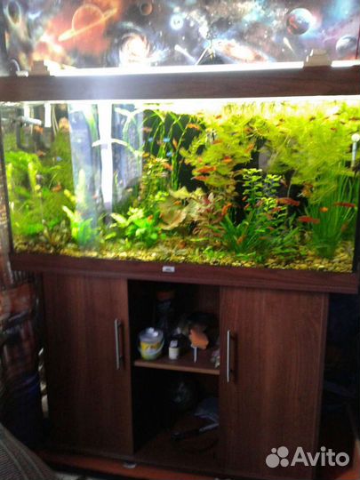 Аквариум