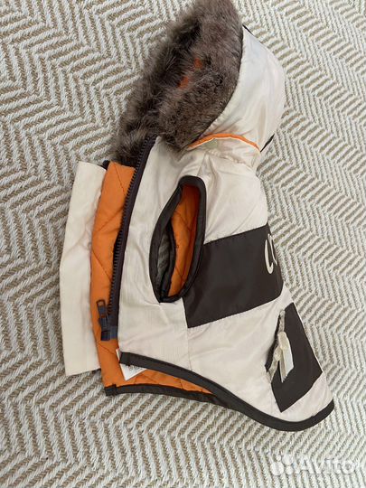 Одежда для собак маленьких пород