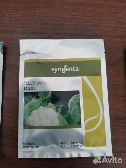 Семена капусты