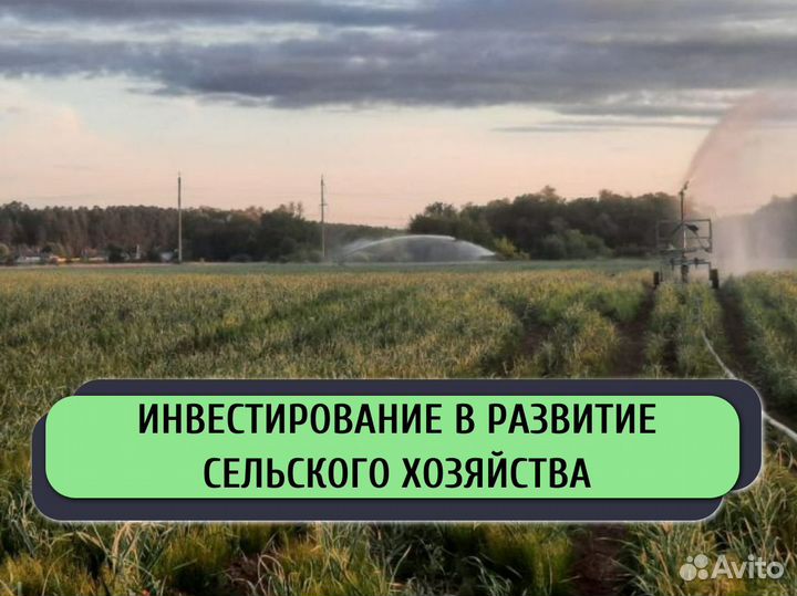 Инвестиции в готовый бизнес